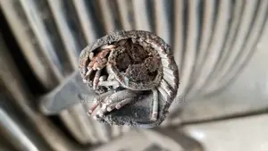 16mm Armored Cable 4 Core