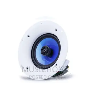 100W Latest Ceiling Speaker