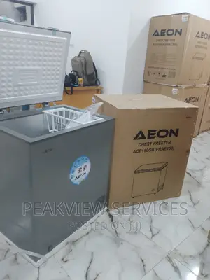 Aeon Chest Freezer (Grey) With Basket