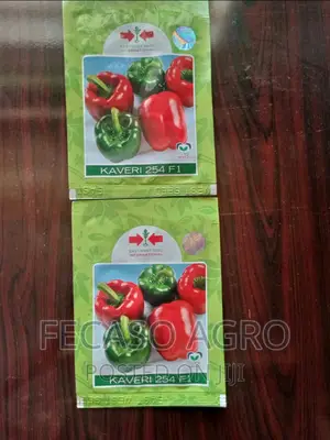 Kaveri F1- 500 Seeds