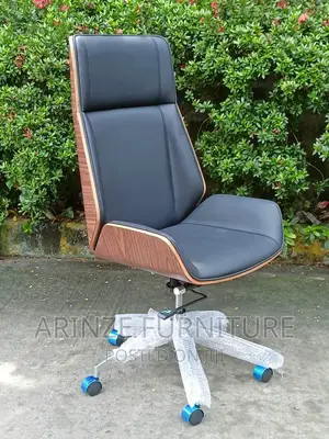 Executive Fashion Chair