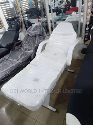 Spa Salon Chair Multipurpose Massage Bed