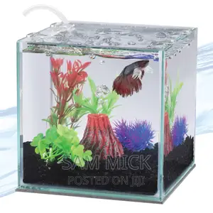 Complete Cube Shape Aquarium With Fishes - 15 X 15 X15inches