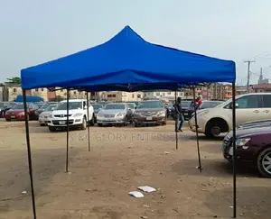 Foldable Canopy 10feet by 10feet (Blue Pole)