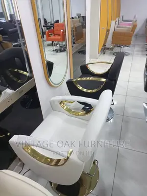 Adjustable Barbing Saloon Executive Chair