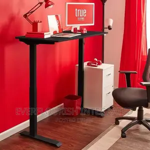 Electric Adjustable Height Standing Office Table/Desk