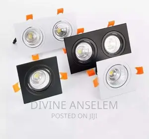 Single and Double Spot Led Light