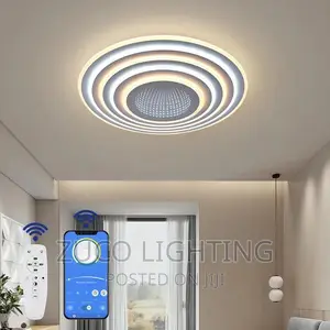 Modern Luxury LED Creative Ceiling Lamps