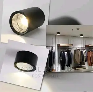 Luxury Down Light