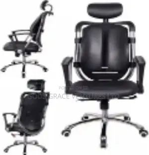 Kidney Chair / Ergonomic Office Chair