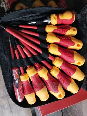 Set of Electrical Screw Driver (10pcs)