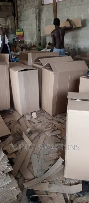 Carton for Your House