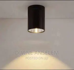 Luxury LED Down Light