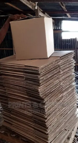 Cartons for Your Groceries