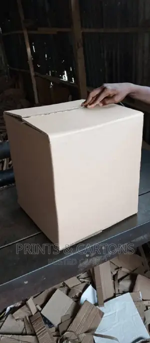 Cartons for Your Shoes and Clothes