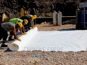Geotextile - Membrane