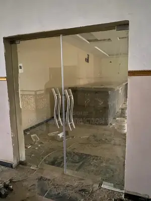 Frameless Glass Doors
