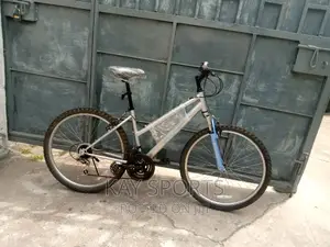 Apollo Adult Sport Bicycle