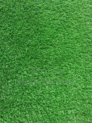 Carpet Grass