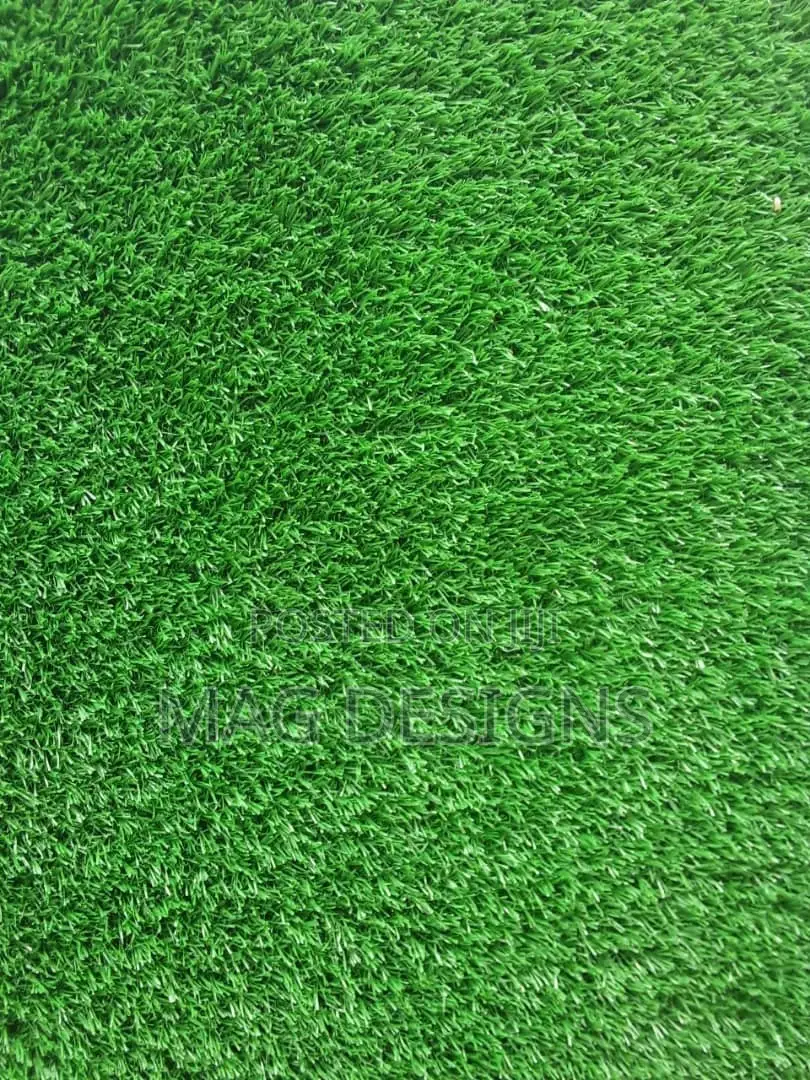 Carpet Grass