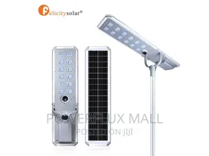 FL-D2-30W All in One Street Light