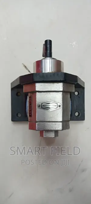 Gear Transfer Pump Rotofulid 1"Inche Stainless Steel Pump