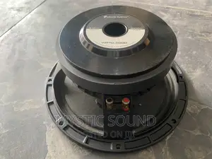 Infinity Vip10inches Speaker