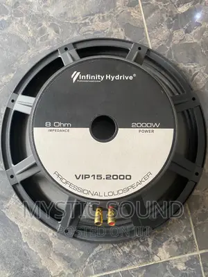 Infinity 15inches Naked Speaker
