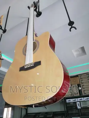Infinity Double Wood Box Guitar