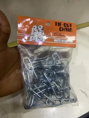 3mm X 6ft Dog Chain