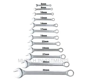 HKSPA1143 12pcs Combination Spanner Wrench Set 6-32mm