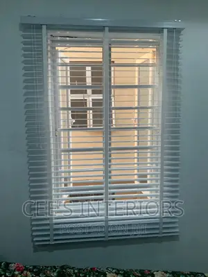 Vanetain Window Blinds