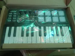 Panda Akai Mini Midi Controller Keyboard