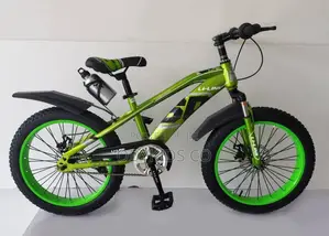 Top Quality Big Tires 20 Inches Bicycle