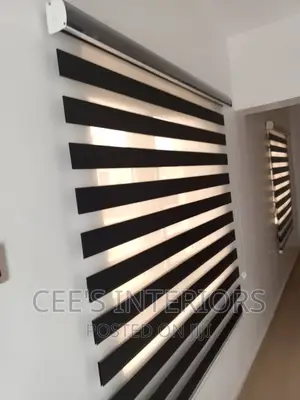 Day and Night Window Blinds.