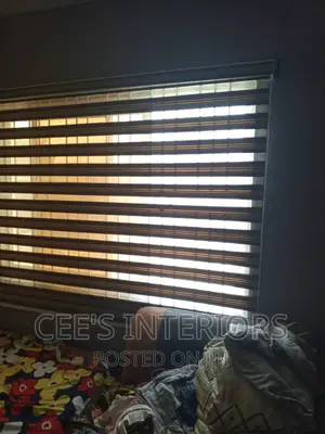 Day and Night Window Blinds