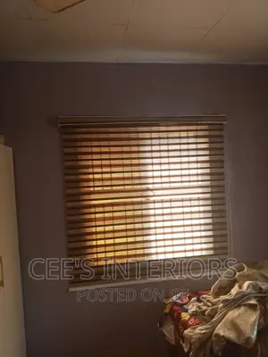 Day and Night Window Blinds.