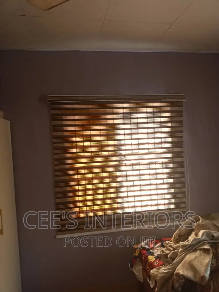 Day and Night Window Blinds.