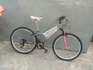 Breeze Sport Bicycle