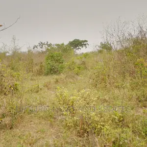 Land Urgently for Sale at Ijebu Ode at Cheaper Rate