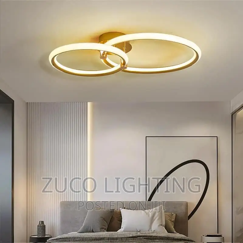 Modern Luxury Creative LED Ceiling Flush Light