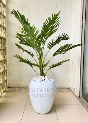 Interior Decoration.