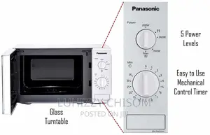 Microwave Repair Service