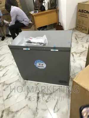 Aeon Deep Freezer 200l -Siver Color