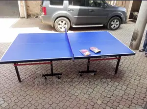 Standard Outdoor Table Tennis
