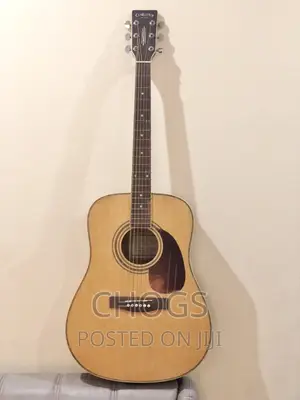Guitar (Corona SD-70 NS Acoustic Guitar)