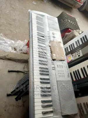 Casio Wk-210 Keyboard
