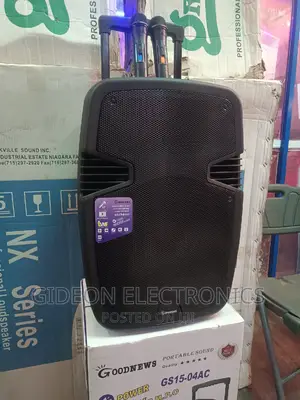 15" Rechargeable Public Address System