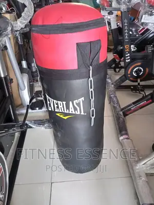 Everlast Punching Bag