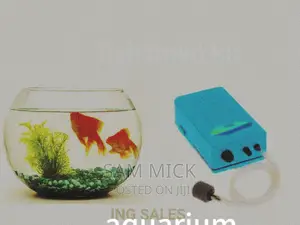 10 Liters Fishbowl Kit With 2 Goldfish and Battery Airpump